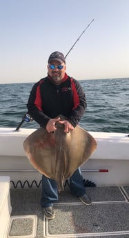 Sheepshead fishing in Galveston, Texas