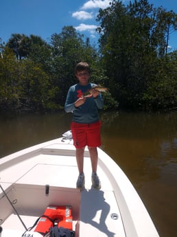 Snook fishing in Naples, Florida