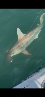 Fishing in Port Orange, Florida