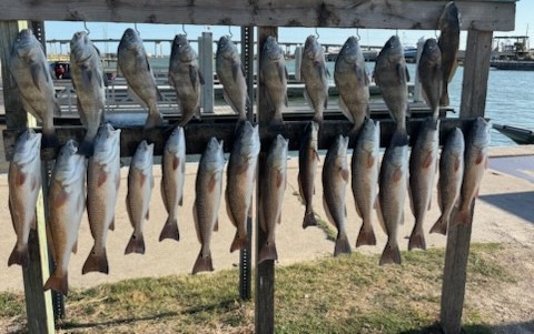 Fishing in Ingleside, Texas