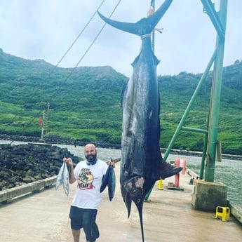 Black Marlin Fishing in Lihue, Hawaii