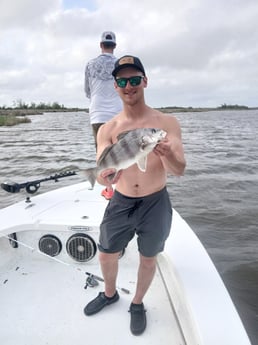 Black Drum Fishing in