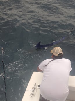 Fishing in Virginia Beach, Virginia