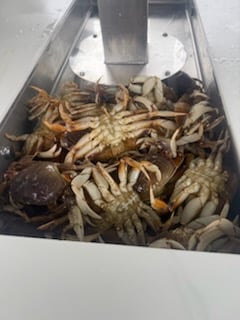 Fishing in Tillamook, Oregon