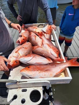 Red Snapper fishing in Santa Rosa Beach, Florida