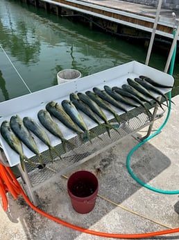Fishing in Key West, Florida