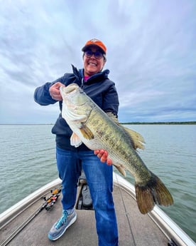 Largemouth Bass fishing in Buda, Texas
