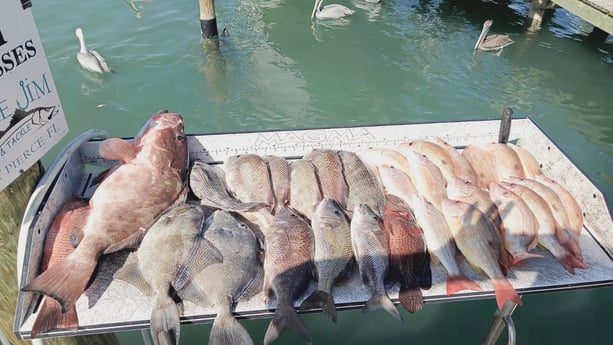 Lane Snapper, Red Grouper, Scup, Triggerfish Fishing in Fort Pierce, Florida