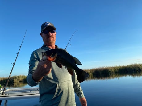 Fishing in Pembroke Pines, Florida