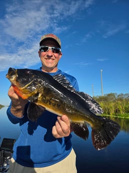 Fishing in Davie, Florida