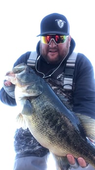 Largemouth Bass Fishing in Alba, Texas