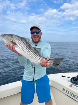 Striped Bass fishing in Nantucket, Massachusetts