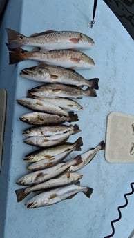 Fishing in Bradenton, Florida