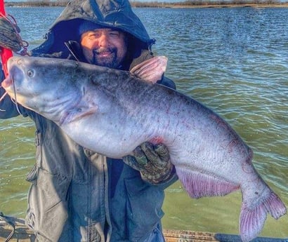 Blue Catfish Fishing in Dallas, Texas