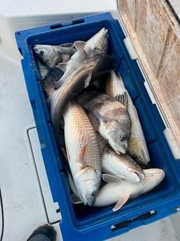 Fishing in Delacroix, Louisiana