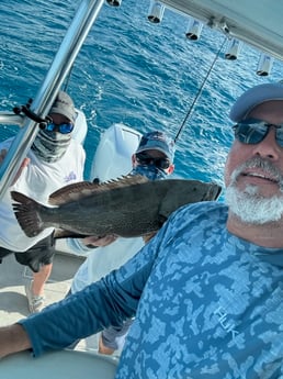 Fishing in Miami, Florida