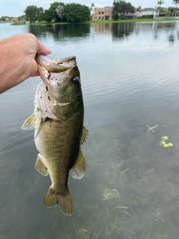 Fishing in West Palm Beach, Florida