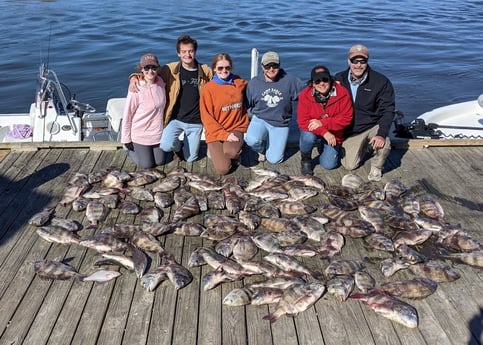 Sheepshead Fishing in Sulphur, Louisiana