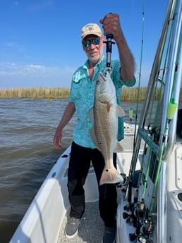 Redfish Fishing in Buras, Louisiana