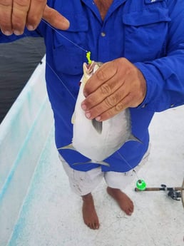 Florida Pompano Fishing in Crystal River, Florida