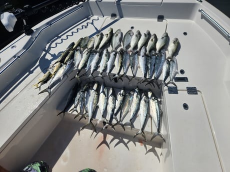 Fishing in Pensacola, Florida