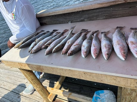Fishing in Houston, Texas