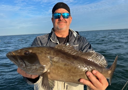 Gag Grouper Fishing in Holmes Beach, Florida