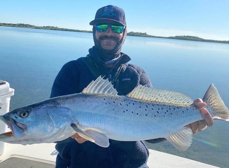 Speckled Trout / Spotted Seatrout fishing in New Smyrna Beach, Florida