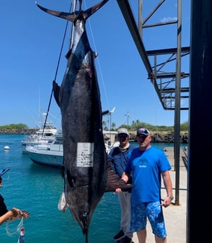 Blue Marlin fishing in Kailua-Kona, Hawaii