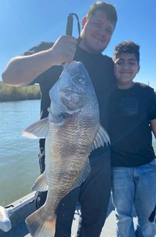 Black Drum fishing in Baytown, Texas