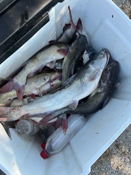 Fishing in Wylie, Texas