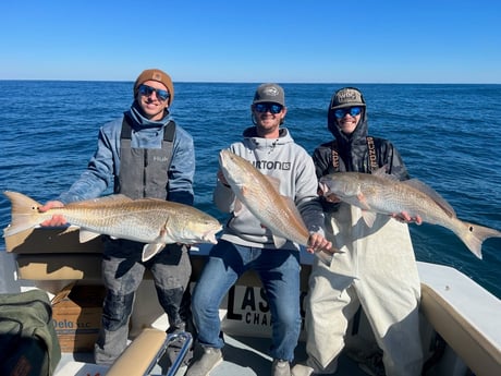 Fishing in Mount Pleasant, South Carolina