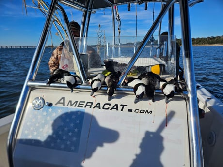 Fishing in Pensacola, Florida