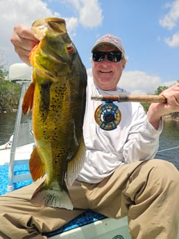 Fishing in Pembroke Pines, Florida