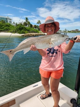 Fishing in Sarasota, Florida