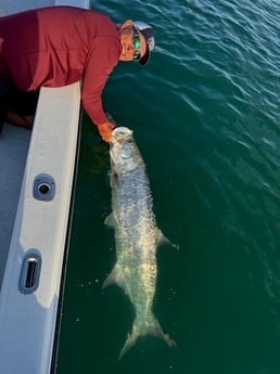 Fishing in Clearwater, Florida