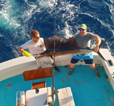 Sailfish Fishing in West Palm Beach, Florida