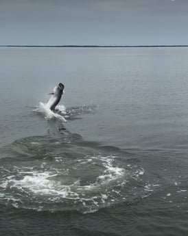 Fishing in New Smyrna Beach, Florida