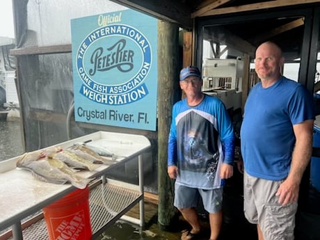 Gag Grouper Fishing in Crystal River, Florida