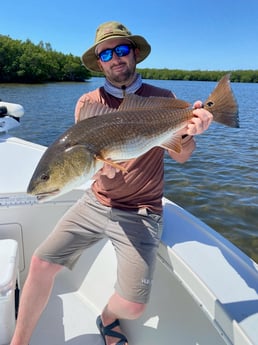 Snook fishing in Placida, Florida