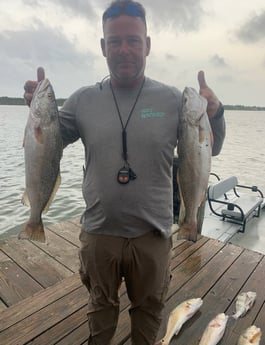 Speckled Trout / Spotted Seatrout fishing in Port O'Connor, Texas