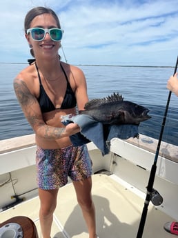 Black Seabass Fishing in Montauk, New York