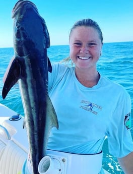 Cobia Fishing in Charleston, South Carolina