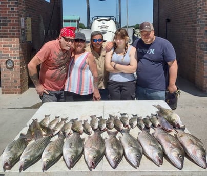 Blue Catfish, Striped Bass fishing in Runaway Bay, Texas