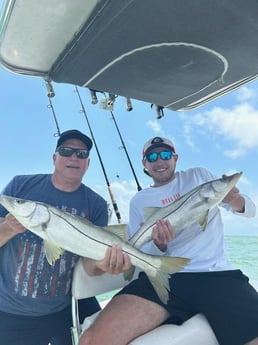 Snook Fishing in St. Petersburg, Florida