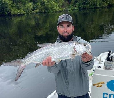 Tarpon Fishing in Carolina, Carolina