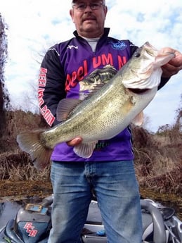 Fishing in Zavalla, Texas
