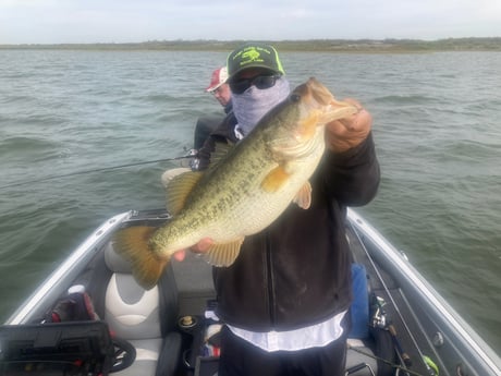 Largemouth Bass fishing in Zapata, Texas