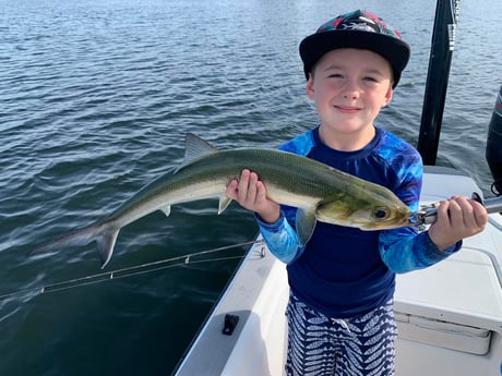 Ladyfish Fishing in Palm Beach, Florida, USA