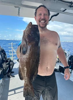 Gag Grouper Fishing in Miami, Florida